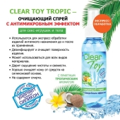 Очищающий спрей для игрушек CLEAR TOY Tropic - 100 мл. - Биоритм - купить с доставкой в Раменском