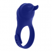 Синее эрекционное виброкольцо с клиторальной подушечкой и пультом ДУ Adjustable Fun Ring - Zero Tolerance - в Раменском купить с доставкой
