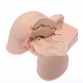 Мастурбатор-полуторс Naked Factory Kate - Naked Factory - в Раменском купить с доставкой