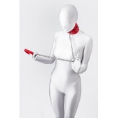 Красный ошейник с подкладкой из меха - ToyFa - купить с доставкой в Раменском