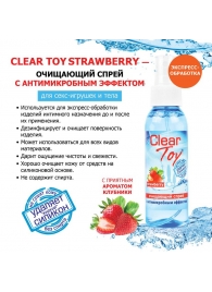 Очищающий спрей для игрушек CLEAR TOY Strawberry - 100 мл. - Биоритм - купить с доставкой в Раменском