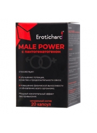 Капсулы для мужчин Erotichard male power с пантогематогеном - 20 капсул (0,370 гр.) - Erotic Hard - купить с доставкой в Раменском