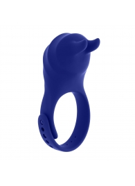 Синее эрекционное виброкольцо с клиторальной подушечкой и пультом ДУ Adjustable Fun Ring - Zero Tolerance - в Раменском купить с доставкой