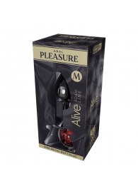 Серебристая анальная втулка Mini Metal Butt Plug Size M с красным кристаллом - Adrien Lastic в Раменском Серебристая анальная втулка Mini Metal Butt Plug Size M с красным кристаллом - Adrien Lastic
