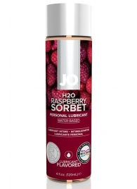 Лубрикант на водной основе с ароматом малины JO Flavored Raspberry Sorbet - 120 мл. - System JO - купить с доставкой в Раменском