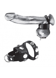 Утяжка для мошонки и пениса Cock Ring With 1  Ball Stretcher And Optional Weight Ring - BlueLine - купить с доставкой в Раменском