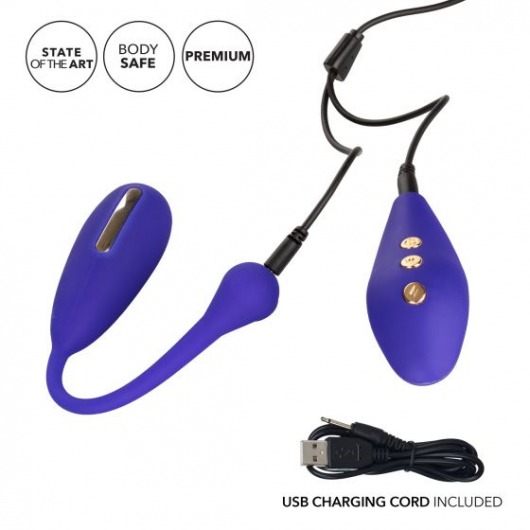 Фиолетовый шарик с электростимуляцией и вибрацией Intimate E-Stimulator Remote Kegel Exerciser - California Exotic Novelties - купить с доставкой в Раменском