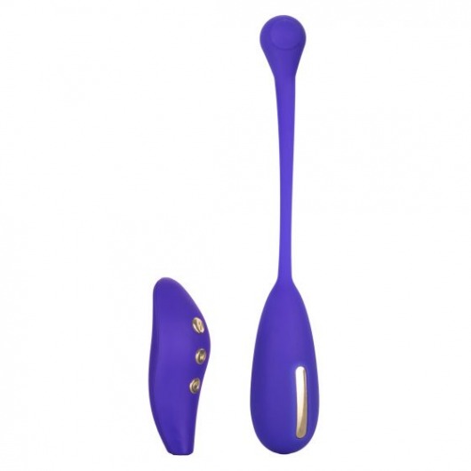 Фиолетовый шарик с электростимуляцией и вибрацией Intimate E-Stimulator Remote Kegel Exerciser - California Exotic Novelties - купить с доставкой в Раменском