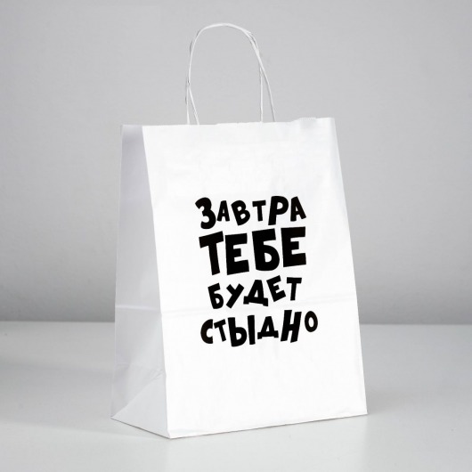 Подарочный пакет  Завтра тебе будет стыдно  - 30 х 24 см. - UPAK LAND - купить с доставкой в Раменском
