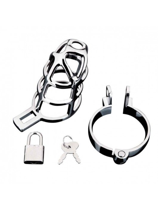 Серебристая металлическая клетка для члена с замком Enslave Cock Cage - BlueLine - купить с доставкой в Раменском