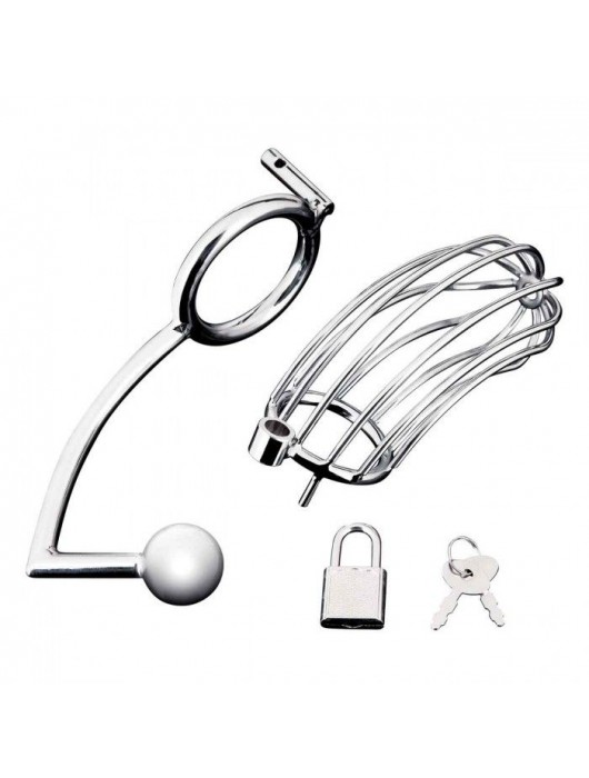 Серебристая металлическая клетка с анальным стимулятором Cock Cage - BlueLine - купить с доставкой в Раменском