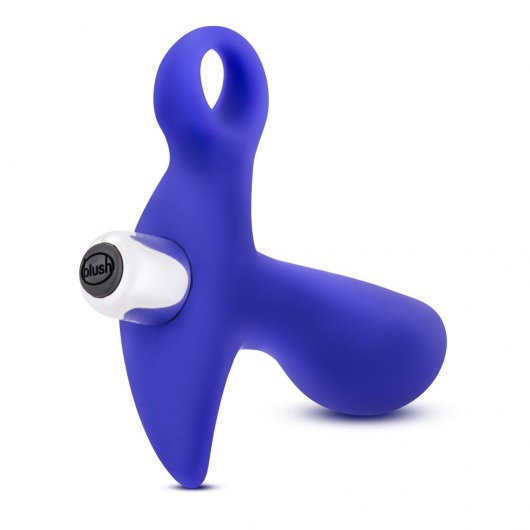 Синий стимулятор простаты с ручкой-кольцом Performance Prostimulator 02 - Blush Novelties - в Раменском купить с доставкой
