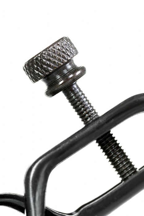 Черно-золотистые зажимы для сосков TOYFA Theatre - ToyFa - купить с доставкой в Раменском